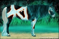 Horse Color:Thunderstruck Buckskin Appaloosa 
