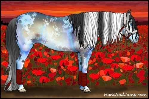 Horse Color:White Spotted Bay Onyx Splash