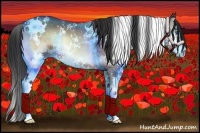 Horse Color:White Spotted Bay Onyx Splash