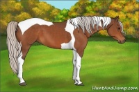 Horse Color:Silver Bay Tobiano