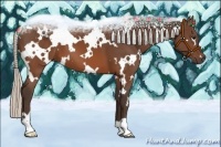 Horse Color:White Spotted Silver Brown 