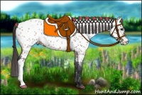 Horse Color:Bay Roan Near Leopard 