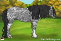 Horse Color:Black Ice 