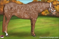 Horse Color:Chestnut Ice Tobiano