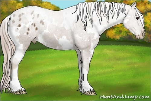 Horse Color:White Spotted Chocolate Palomino Varnish