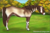 Horse Color:Red Onyx 