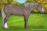 Horse Color:Silver Black 