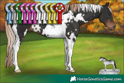 Horse Color:White Spotted Liver Chestnut Tobiano 
