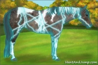 Horse Color:Thunderstruck Brown Ice Sabino Tobiano 