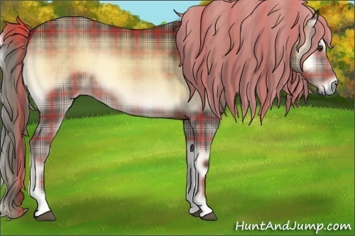 Horse Color:Plaid  Chocolate Palomino Onyx 