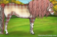 Horse Color:Plaid Chocolate Palomino Onyx