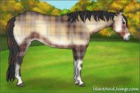 Horse Color:Plaid Bay Onyx