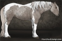 Horse Color:Silver Black Tobiano Rabicano 