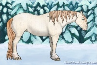Horse Color:Buckskin Roan Pearl  and Amber Cream Champagne Roan Pearl 