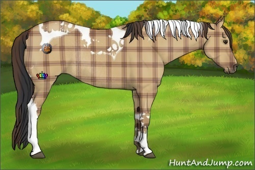 Horse Color:Plaid Bay Dun Tobiano Rabicano