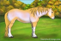Horse Color:Watercolor Red Onyx 
