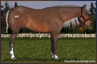 Horse Color:Silver Brown Sabino 