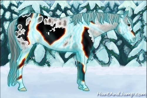 Horse Color:Thunderstruck White Spotted Liver Chestnut Sabino Frame Blanket Rabicano 