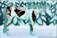 Horse Color:Thunderstruck White Spotted Liver Chestnut Sabino Frame Blanket Rabicano 