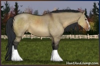 Horse Color:Brown Dun Sabino