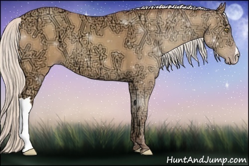 Horse Color:Silver Amber Champagne Ice Rabicano 