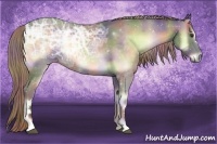 Horse Color:Nacre Chocolate Palomino Ice Onyx