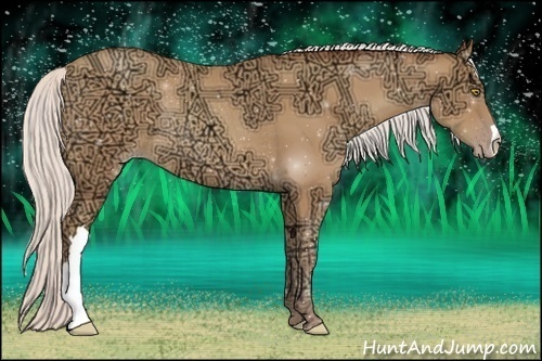 Horse Color:Silver Amber Champagne Ice Rabicano