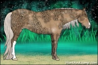 Horse Color:Silver Amber Champagne Ice Rabicano