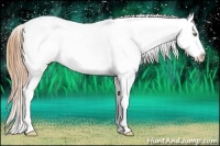 Horse Color:Gold Champagne Ice Dun Appaloosa Rabicano