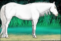 Horse Color:Silver Amber Champagne Ice Appaloosa Rabicano 