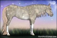 Horse Color:Gold Cream Champagne Ice Rabicano 