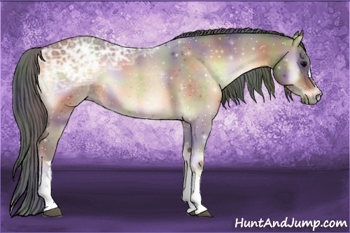 Horse Color:Nacre Buckskin Ice Onyx