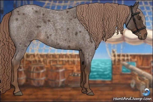 Horse Color:Liver Red Roan 