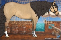 Horse Color:Buckskin Roan Dun