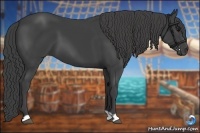 Horse Color:Smoky Black 