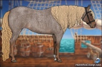 Horse Color:Liver Red Roan 