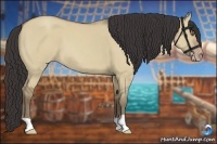 Horse Color:Classic Champagne Dun 