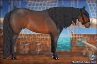 Horse Color:Brown Roan