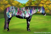 Horse Color:White Spotted Bay Ice Rabicano
