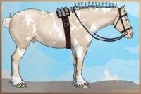 Horse Color:White Spotted Palomino Pearl 