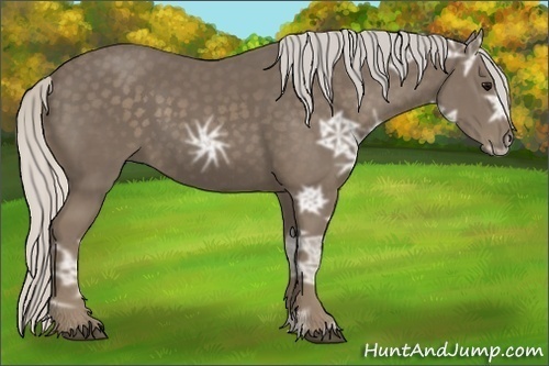 Horse Color:Silver Smoky Black Ice