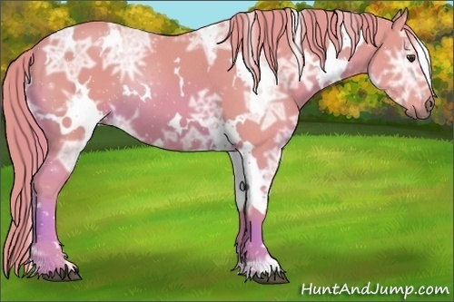 Horse Color:Watercolor White Spotted Chestnut Ice 