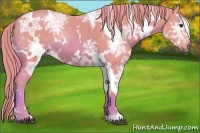 Horse Color:Watercolor White Spotted Chestnut Ice 