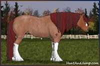 Horse Color:Painted Bay Roan 