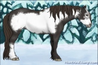 Horse Color:Liver Chestnut Frame 