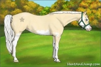 Horse Color:Silver Classic Cream Champagne Roan Dun Splash Frame 