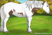 Horse Color:White Spotted Silver Brown Splash Tobiano