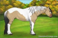 Horse Color:Bay Dun Tobiano