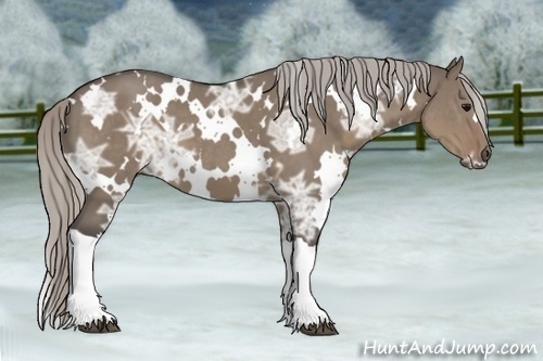 Horse Color:White Spotted Silver Grullo Ice 