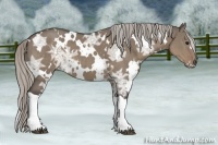 Horse Color:White Spotted Silver Grullo Ice 